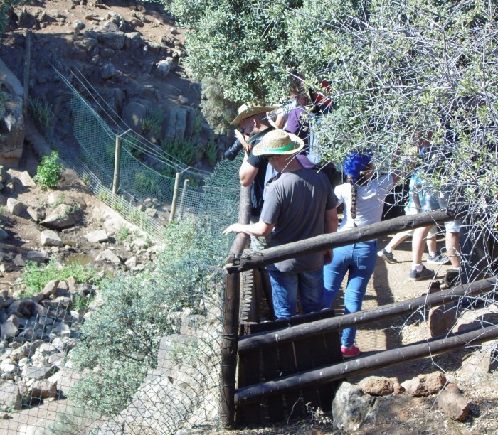 Imagen de El Borril (Foto de archivo)