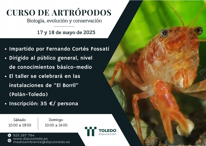 Imagen de Curso de Artrópodos