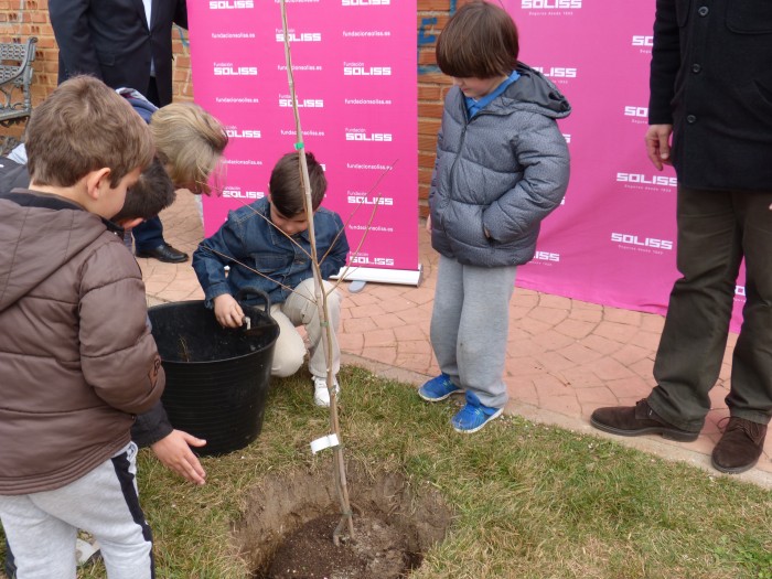 Alumnos y alumnas del colegio de Los Navalucillos plantando el olmo en la localidad