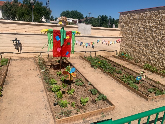 Imagen de Huerto escolar en colegio