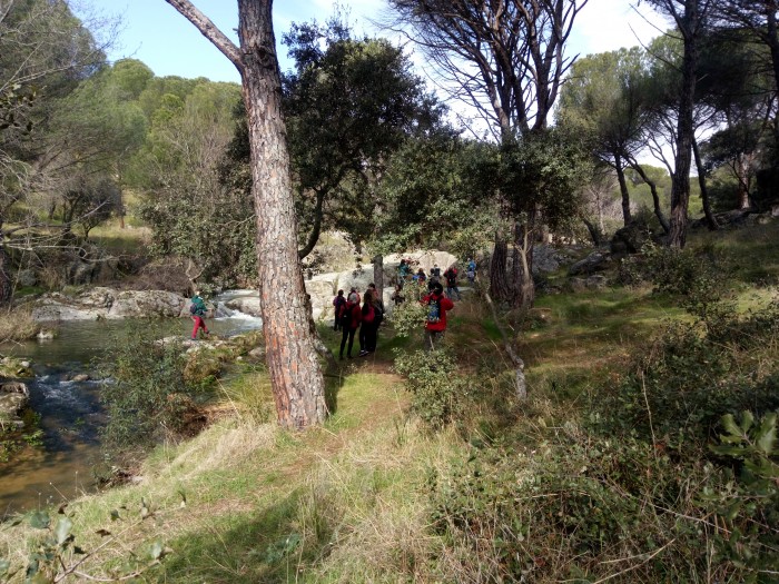 Imagen de Potenciando el conocimiento del patrimonio natural de la provincia de Toledo