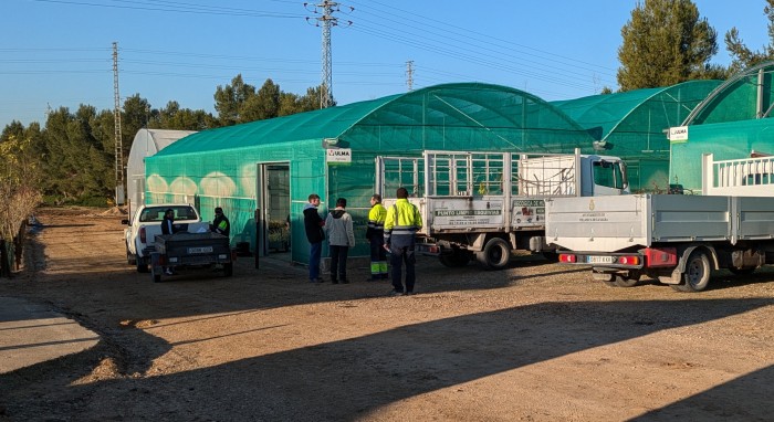 08022026 Diputación reparte más de 25.000 árboles y arbustos a los municipios toledanos 2