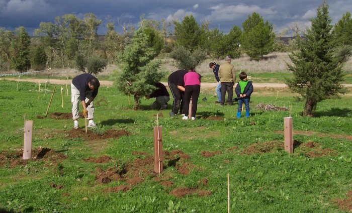 Plantación (Archivo)