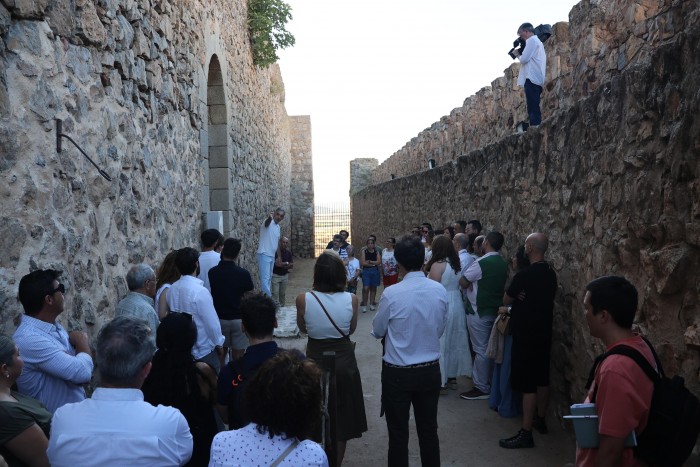 Imagen de Visita castillo de Consuegra