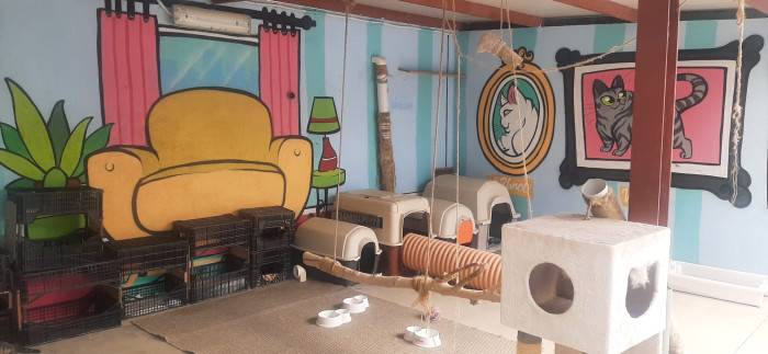Centro de acogida de animales de Talavera de la Reina