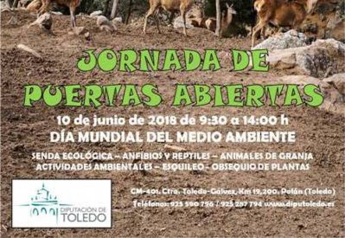 Cartel divulgativo Jornada puertas abiertas en El Borril