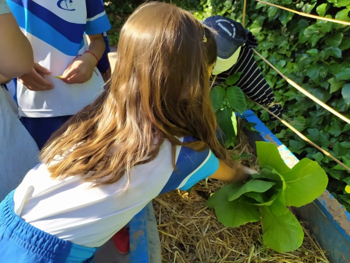 Huertos escolares 2