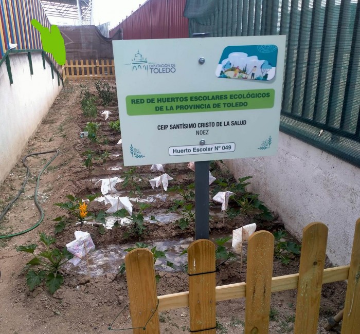 Huerto escolar en colegio