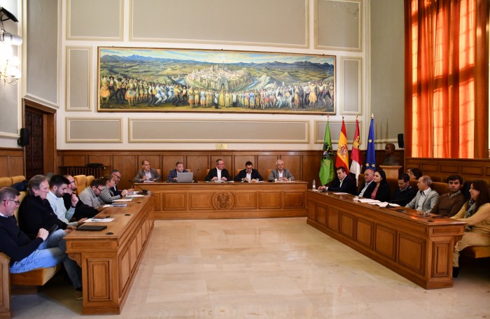 Pleno Consorcio