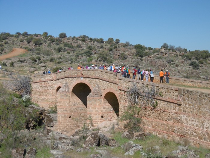 Imagen de Paseos naturales por la provincia de Toledo