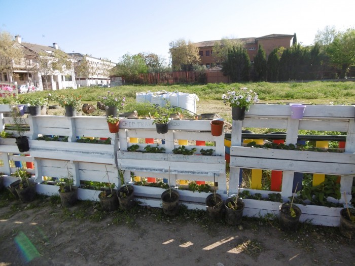 Imagen de Actividad de la Ecoescuela del CEIP “Bartolomé Nicolau” de Talavera de la Reina