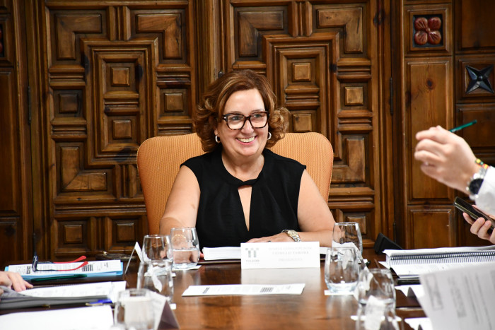 04092026 Cedillo Plan Extraordinario de Inversiones 2026