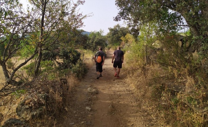 Imagen de Ruta de Los Molinos (San Pablo de los Montes)