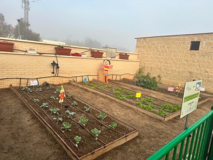 Huertos escolares 1