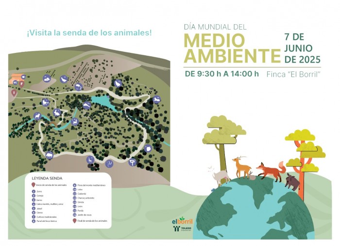 Cartel Día Mundial del Medio Ambiente