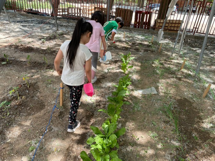 Imagen de Huertos escolares
