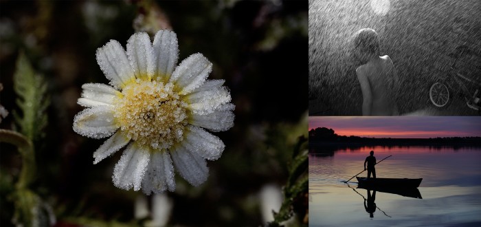 Imagen de Composición de las tres fotografías premiadas