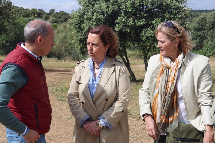 Día de la Familia en Toledo