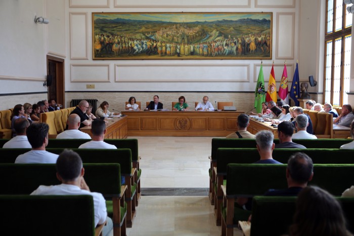 Imagen de Pleno