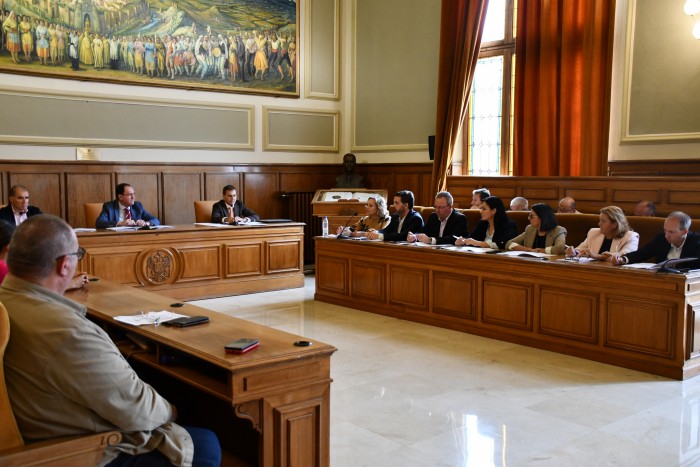 20092024 Pleno ordinario diputación de Toledo (1)