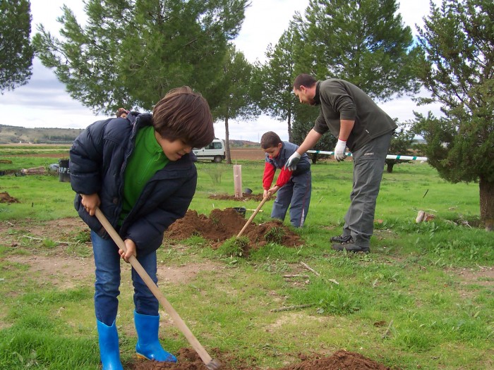 Imagen de Plantación de archivo