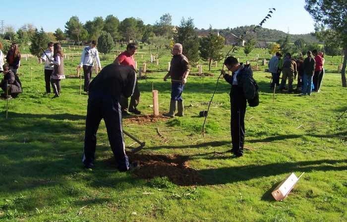Plantación de archivo