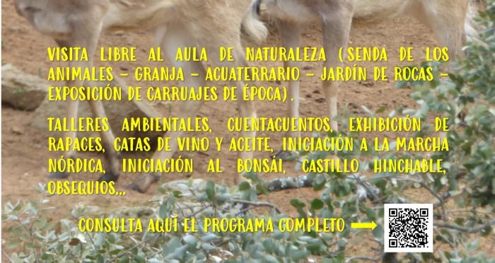 Actividades Día Mundial del Medio Ambiente