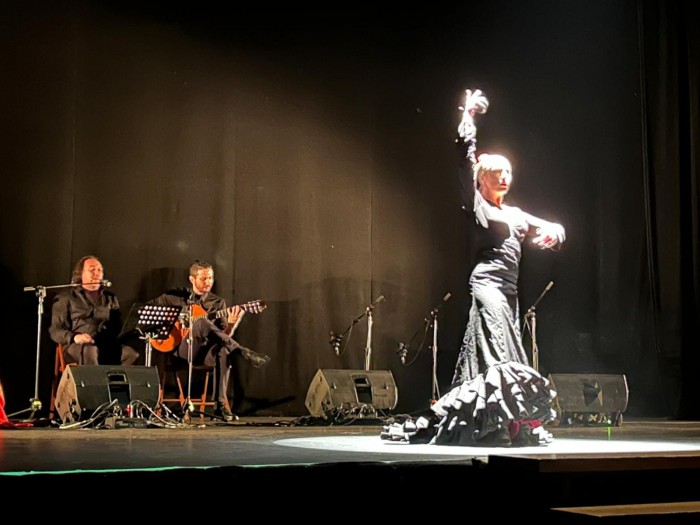 Actuación flamenca en la Gala