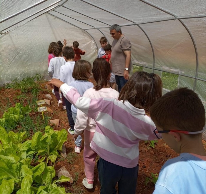 Imagen de Escolares en los Huertos escolares