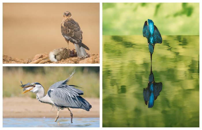 Imagen de Ganadores concurso fotografía Diputación