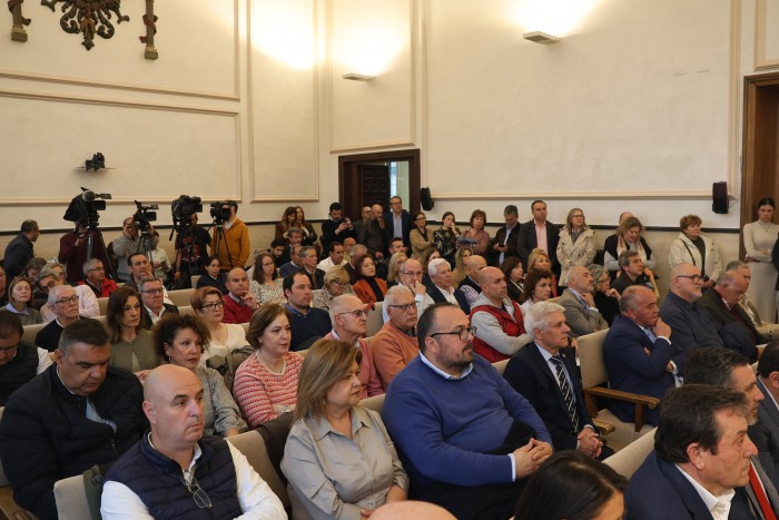 Salón de plenos en la presentación de Toledo Emplea+
