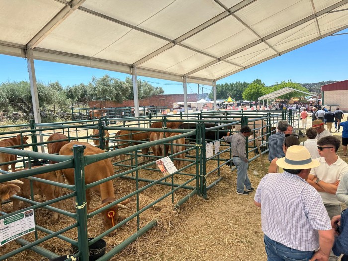 Imagen de 24052025 Feria Ganadera de Segurilla 1