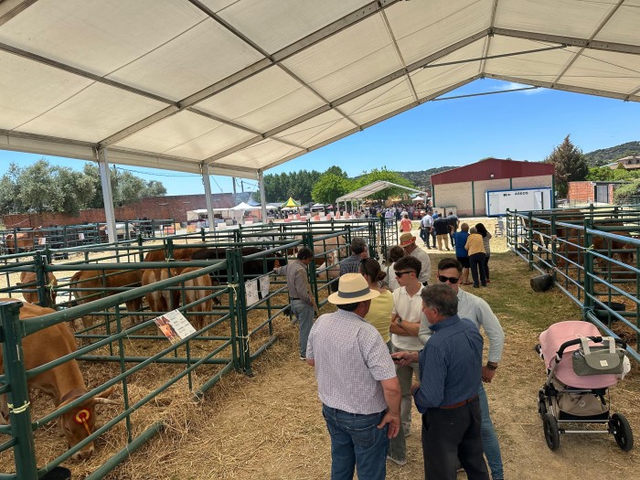 Imagen de 24052025 Feria Ganadera de Segurilla 7