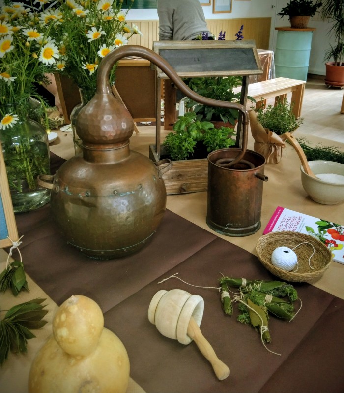 Una mañana entre plantas Archivo