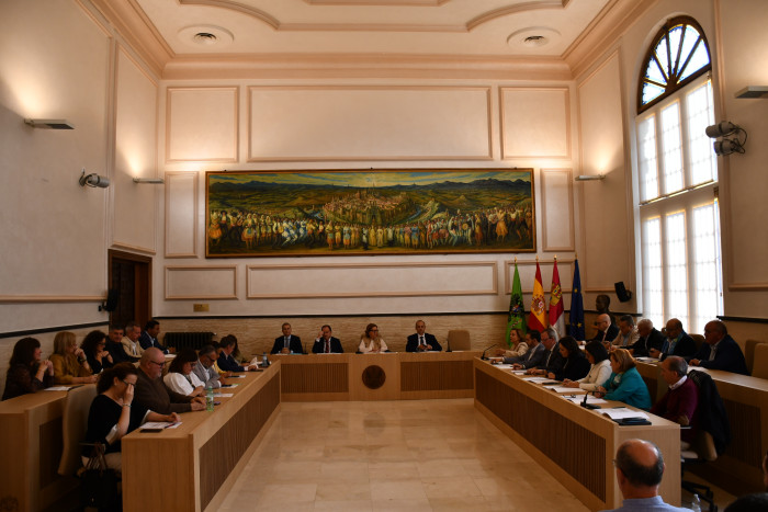 Pleno Diputación de Toledo