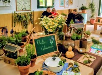 Una mañana entre plantas Archivo