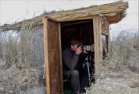 Hides de observación de fauna