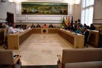  Imagen del pleno de hoy